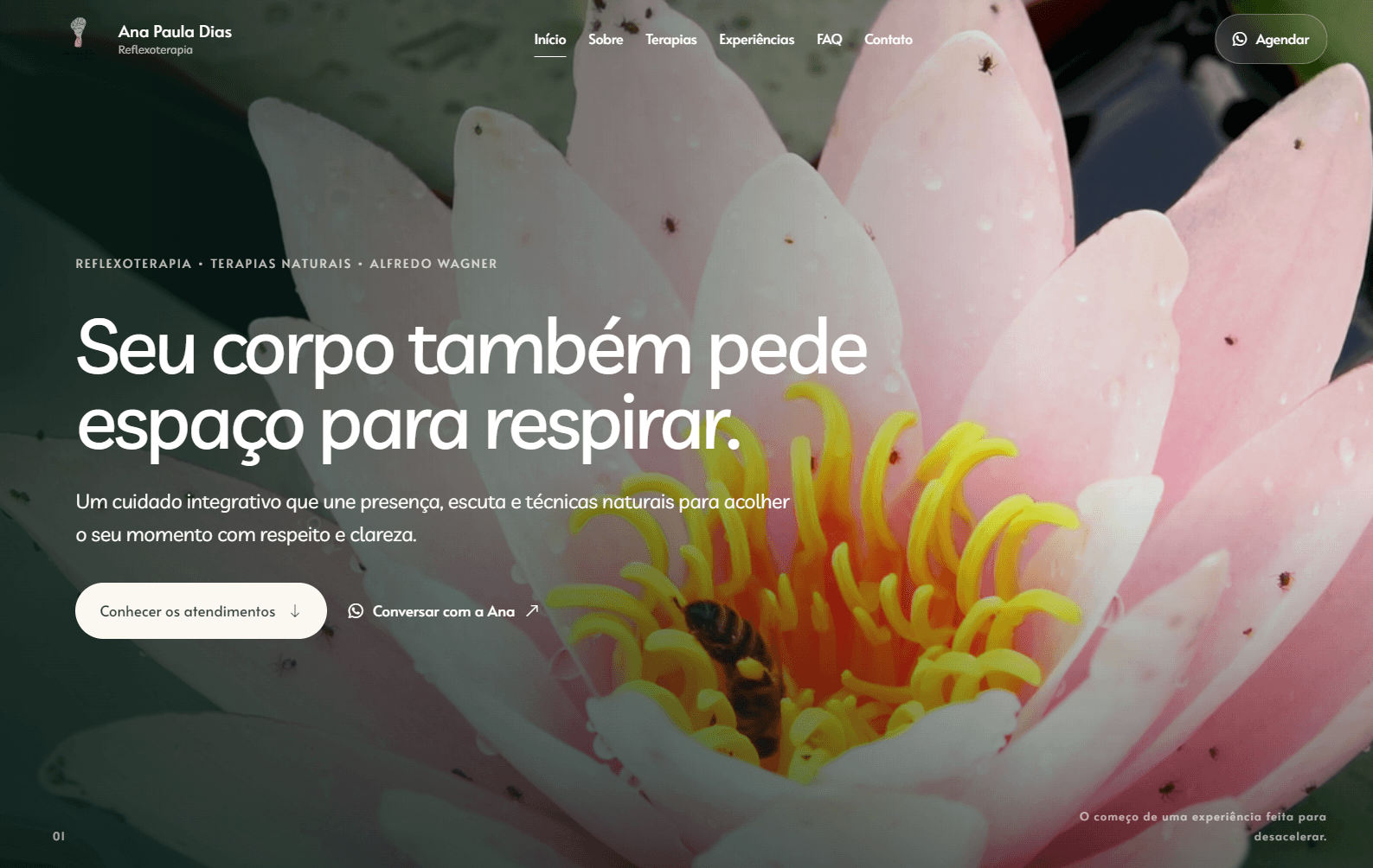 Página inicial do website de Ana Dias em uma tela de computador